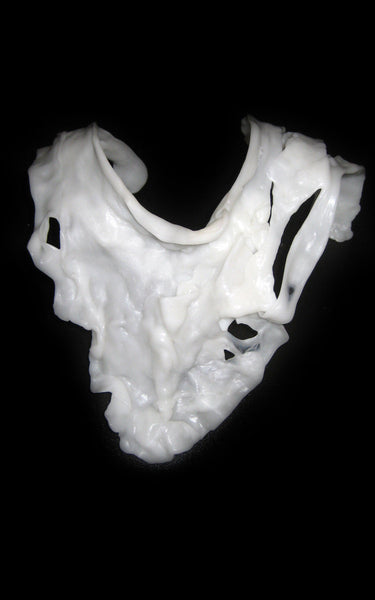 Deformed Collarbone L'une Collection by Anh Volcek